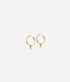 Shinny Earrings - Gold
