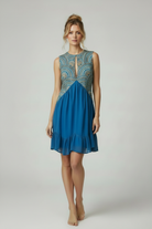 Blue Embroidered Dress - Low Bun & Wider Neckline